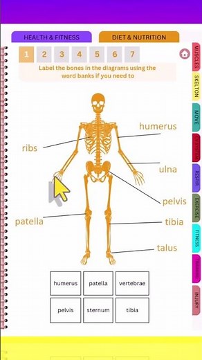 AQA GCSE PE Revision Course: Short Bones