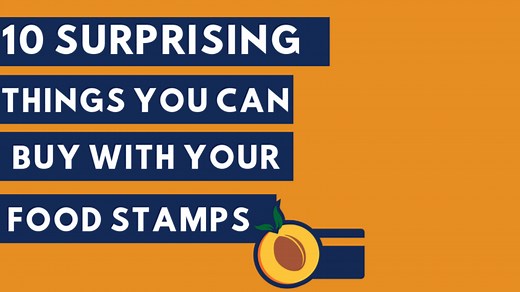 10 Surprising Things You Can Buy with Food Stamps - Georgia Food Stamps Help
