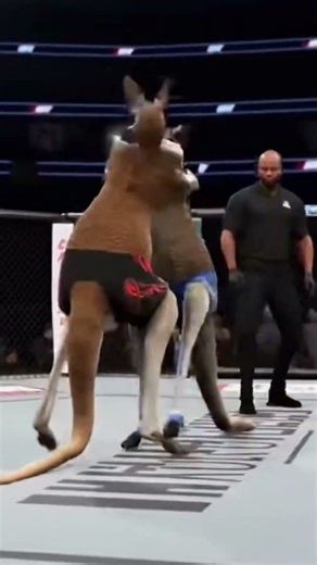 Kangaroo K.O.! 🤣 WILD ANIMATED MMA Fight | Who Wins The Marsupial Mayhem? #shorts