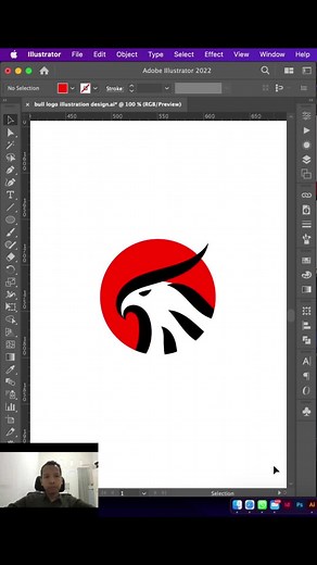 bird #logo #illustration #Eagles #branddesign