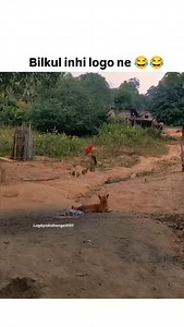 Ye log nhi sudhrenge 😂 | Logkyakahenge9101