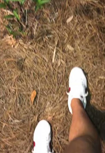 Frog Does A Flip Off A Fence After A Guy Tells Him