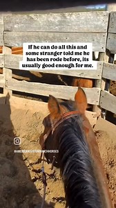 584K views · 10K reactions | Preflight checklist!   This can also apply to horses you do know but have been laid off for a long time but were once ridable.  @americancustomranchhorses #horselovers #cowboylife #RideWithUs #bestofamericabyhorseback | Best of America by Horseback | Facebook