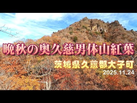 晩秋の奥久慈男体山紅葉（茨城県大子町）