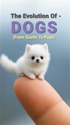 Dogs used to be... MONSTERS? | Final Evolution Of Dogs #shorts #shortvideo