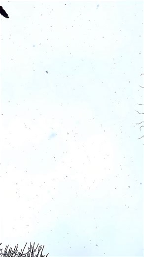 DU MURY-MARAIS | Daughter of the notary of Péruwelz, Antoinette Augustine Simon, wife of Yves Hamoir, was a woman of strong character. Widowed in her... | Instagram