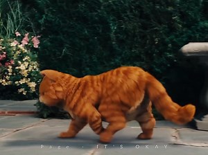 1.2M views · 28K reactions | Copy cat  | It's okay ツ | Facebook