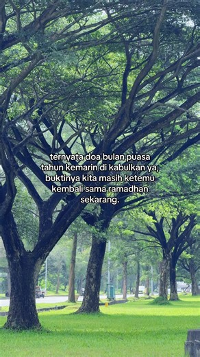 Lyrics Music (@for_you_page123)’s videos with Dealova piano cover - Ray Peaceano