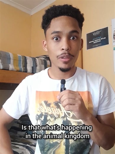 Wild Animal Reactions: Cheetah and Hippo Encounter