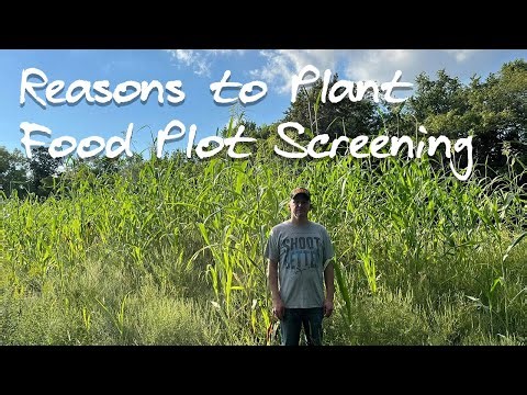 Best Food Plot Screen | Farming For Whitetails