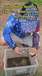 Instructions for preparing Sc1 bait for black carp fishing with snails #fishing #dungnguyenfishing