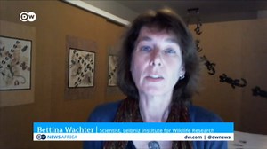 Monitoring Namibia's cheetahs