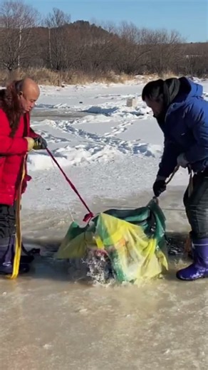 🎣🐠 Professional Sea Fishermen at Work | Incredible Fishing Skills, Huge Nets and Amazing Ocean Catch