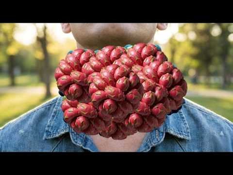 Slow Detailed ASMR with Controlled