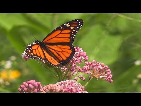 For the Glory of God