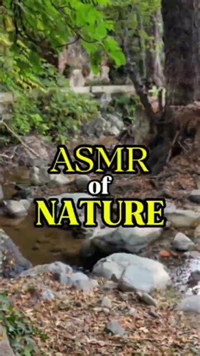 You Need This 15s Nature ASMR - instant calm #nature #asmr #relaxing #viralshorts #trending #dji