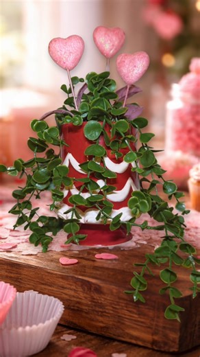 A cake plant for a Valentine’s Day bake sale coffee bar 🍰💕 A fun Dollar Tree and Dollar Spot DIY that brings a little whimsy to Valentine decorating. | Crafty Beach