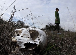 The Fascinating Process of Human Decomposition - CVLT Nation