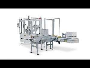 Endoline 734 - Fully Automatic Random Case Sealer