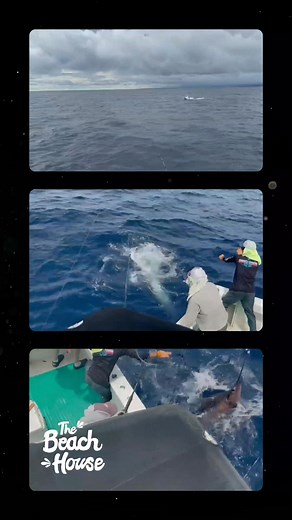 24 reactions | Experience world-class fishing on Costa Rica’s Osa...