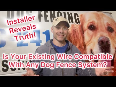 Can You Use Your Already Installed Wire With Any In-Ground Dog Fence System? ￼Best Dog Fence In 2026