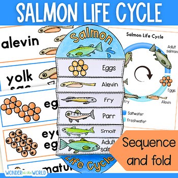 Life cycle of a salmon fish sequencing cut & paste activity vocabulary word wall