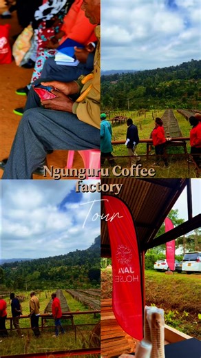 1.4K views · 28 reactions | At the heart of every cup of coffee we...