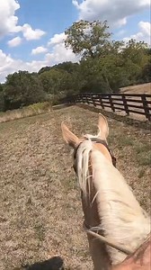 2.3K views · 33 reactions | Join Ed in this insightful horse training...