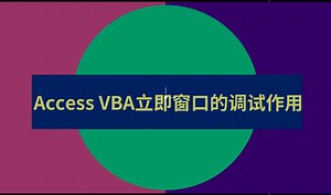 Access-VBA立即窗口的调试作用