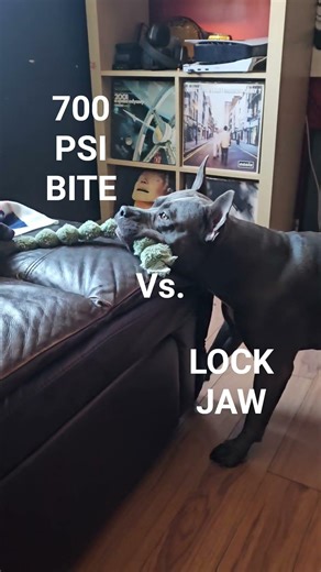700 PSI VS LOCK JAW