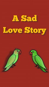 24K views · 316 reactions | Two parrots were sitting on the road,...