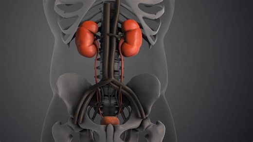 9 subtle chronic kidney disease symptoms that may signal a serious problem