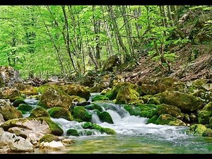 3 Hours Running Brook Sounds, Rumbling Streams, Waterfalls, Relaxation, Forest And Nature