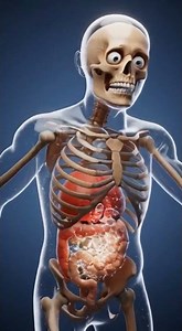 Protein Shakes Explosion