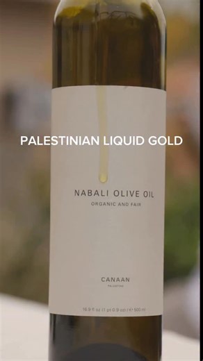 Palestinian olive oil is a livelihood preserved through generations, carried by families who keep their connection to the land alive year after year. | Canaan Palestine