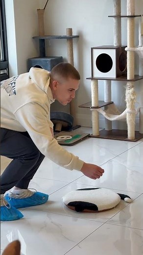 Matt Dunstone and Ross Whyte found the purr-fect way to unwind between games