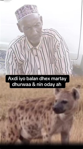 #CapCut Party 8! 🎉 Sheeko xiiso leh #somalitiktok #sheekooyin #fouryoupage #viraltiktok