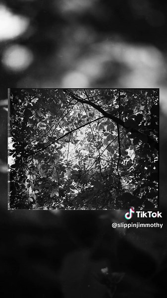 Going crazy. Fun little experiment with Agfa Aviphot. Pushed to 1600 with orange filter and teleconverter #analogphotography #filmphotography