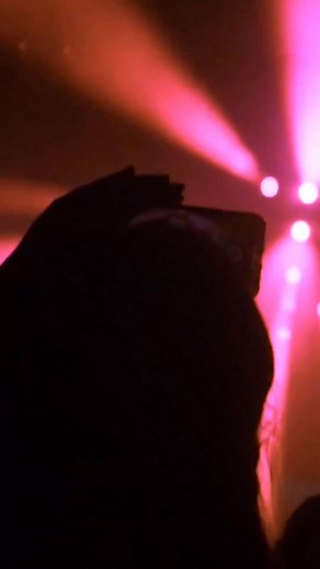 No habrá más música, ni bailes de repente…. #Siddhartha #musical | Sabor A Siddhartha