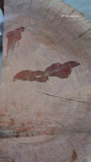 Simple DIY tips for repairing wood cracks _diy _shorts _woodworking | diy tips & tricks