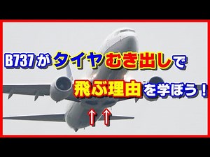【企画】ボーイング737がタイヤむき出しで飛ぶ理由を学ぼう！【ナレーション付】