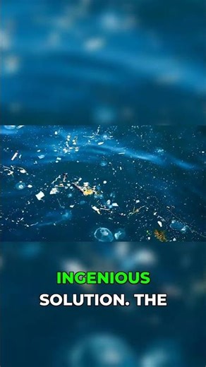 Turning fish waste into fertilizer: Ocean farm innovation!