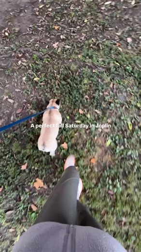 Nothing beats a crisp fall Saturday in Joplin. Fresh air, local markets, and the charm of this community we love to call home! 🍁🧡 What’s your favorite way to spend a Saturday in Joplin?! Follow 👉 @thecarlinteam for all things Joplin living & real estate! #joplinmo #joplinrealestate #joplinrealtor #missourirealtor #joplinhomesforsale #joplinmissouri #carlinteam #thecarlinteam #joplinfood #downtownjoplin | Carlin Team