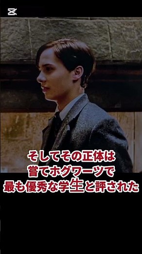 ヴォルデモートとは…ハリー・ポッターの宿敵にして…ホグワーツ開校以来の最恐最悪の魔法使いであり純血主義という魔法族の選民主義民族浄化をイデオロギーとして掲げイギリス魔法界で暴虐の嵐を巻き起こした…