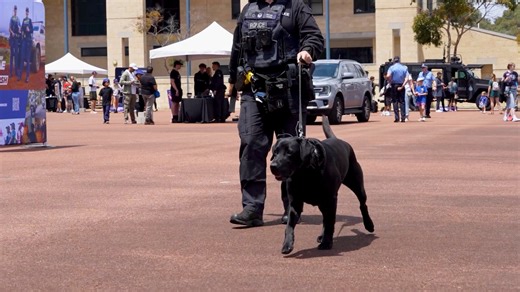 Today over 4000 people visited the WA Police Academy for Careers Day. Visitors were invited to explore the Academy, meet police officers and learn more about the recruitment process, training and future career paths. Have you ever thought about a career with the WA Police Force? | Western Australia Police Force