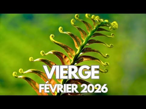 Virgo ~February 2026~ You are looking for answers.