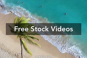High Waves Videos, Download The BEST Free 4k Stock Video Footage & High Waves HD Video Clips