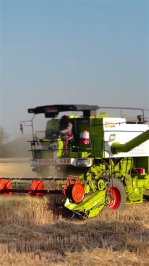 Vishal 435 Brisk Plus in Wheat Field | Vishal 435 Combine Harvester Working Video 2026