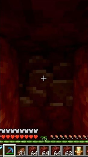 The END!!! #minecraft #minecraftshorts