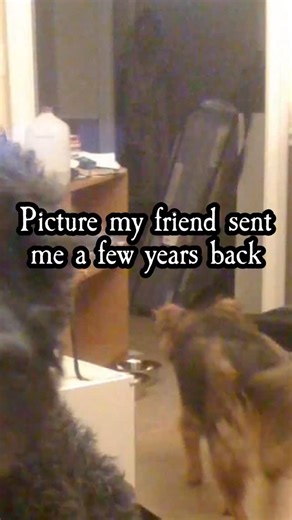 The Scarecast on Instagram: "A few years ago, a woman had just moved into her new apartment in Charleston, South Carolina and snapped a casual photo of her dog, not realizing she had also captured something else standing in the room. When the picture was later examined, a tall, solid‑looking figure appeared in the background near the doorway, resembling an older woman in a long, possibly hooded coat or nightgown, watching from the shadows as if she had been there the whole time. Some people imme